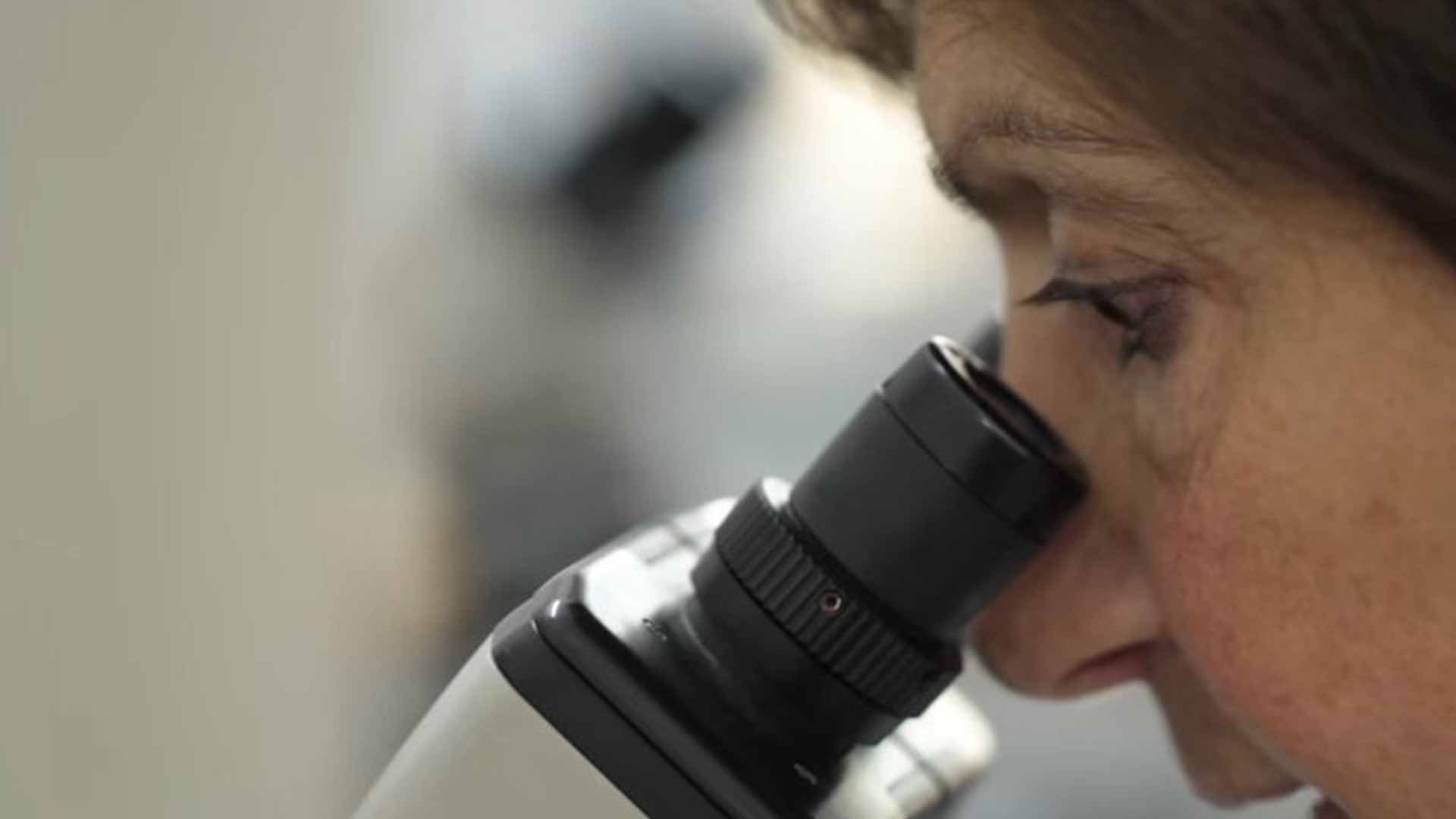 MujeresEnLaCiencia